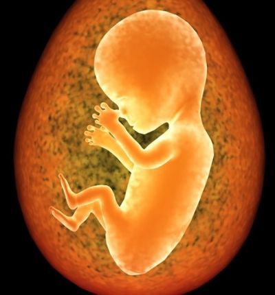 Baby im Bauch