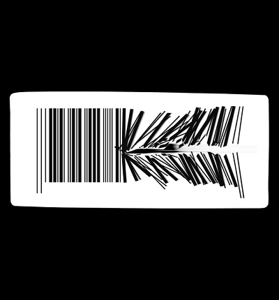 Barcode-Absturz