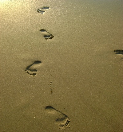Footprints in the sand