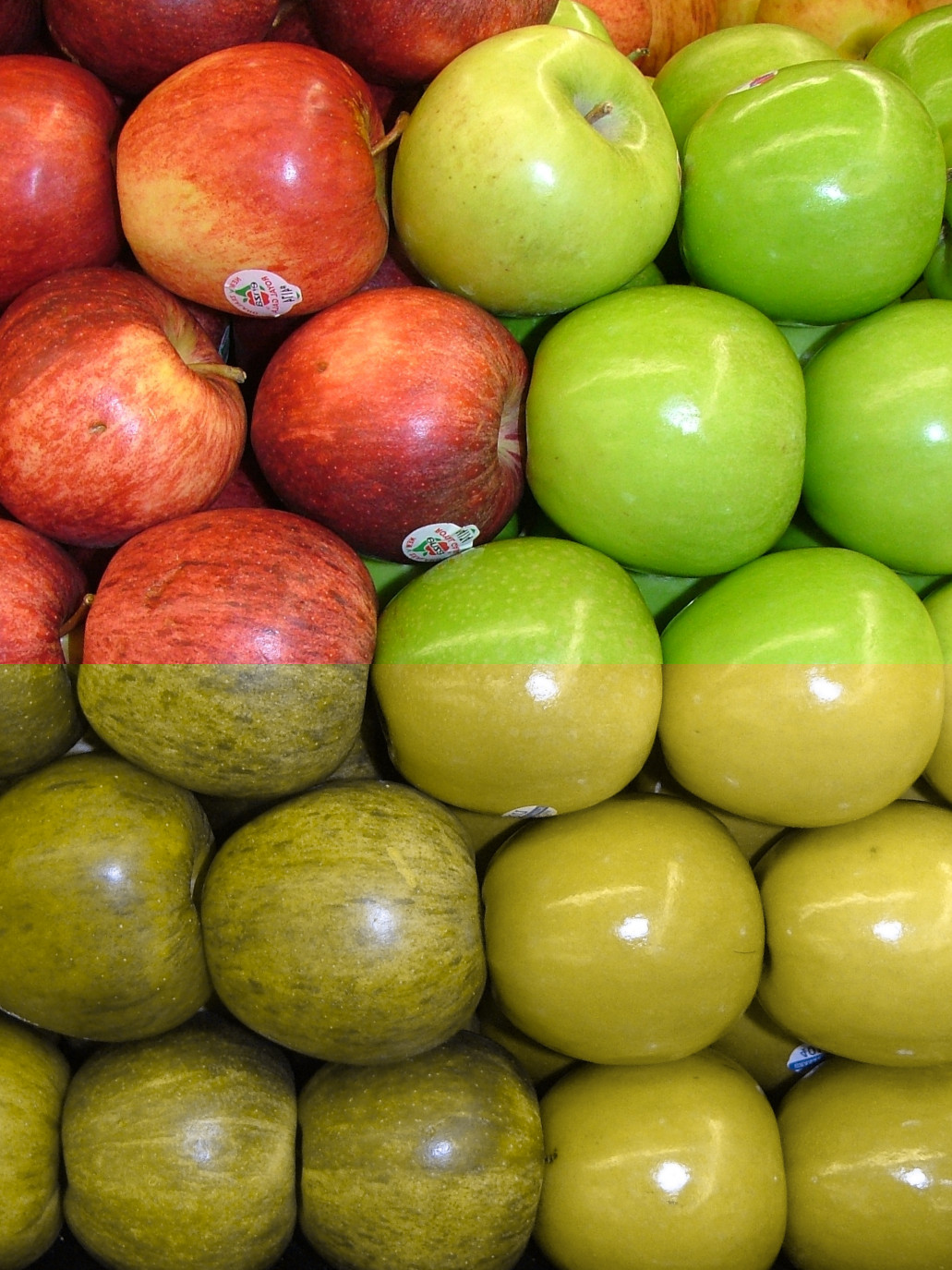 Simulation of the normal (top half of photo) and dichromatic (lower half) perception of red and green apples